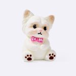White Yorkshire Terrier