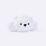 Cloud North Polar Bear